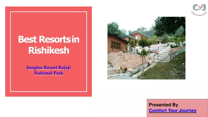 best resorts in rishikesh junglee resort rajaji
