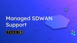 Managed SDWAN Support
