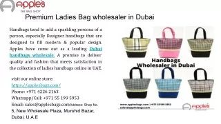Premium Ladies Bag wholesaler in Dubai