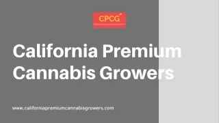 Buy The Soap Cookies 8th Packs Online from California Premium Cannabis Growers