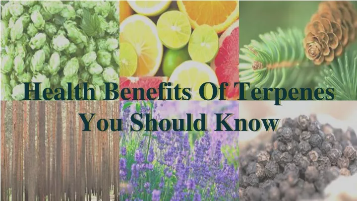 health benefits of terpenes you should know