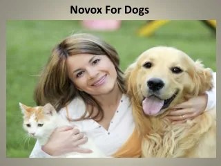 Novox for dogs