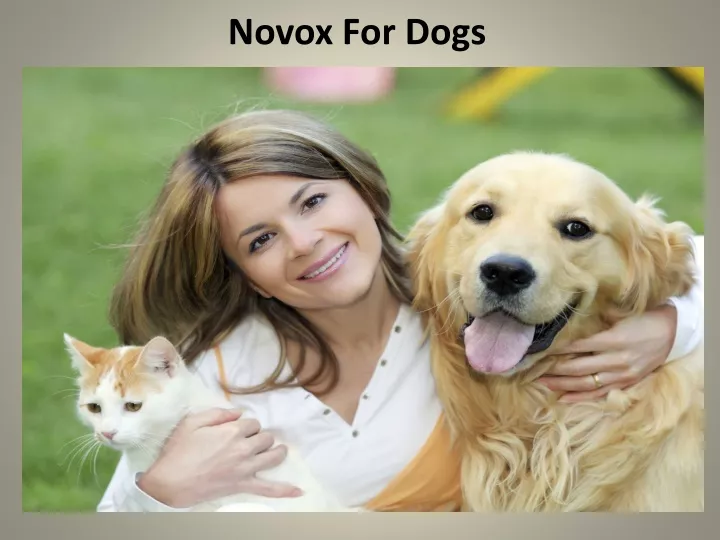 novox for dogs