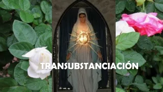 transubstanciaci n