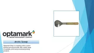 arctic scoop