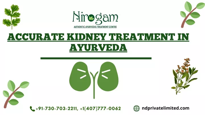 accurate kidney treatment in ayurveda