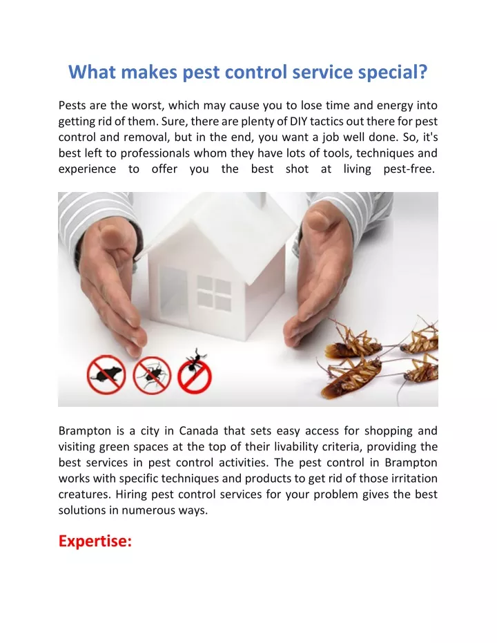 what makes pest control service special