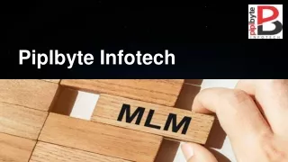 piplbyte infotech