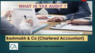 What is Tax Audit & What role a Chartered Accountant plays in that?
