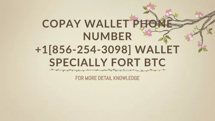 copay wallet phone number 1 856 254 3098 wallet specially fort btc