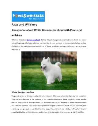 PAWS AND WHISKERS WHITE GERMAN SHEPHERED