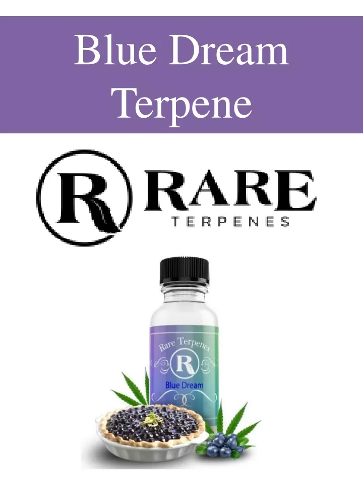 blue dream terpene