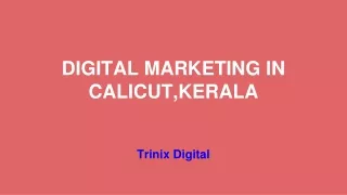 Trinix Digital - Digital Marketing Agency in Calicut,Kerala