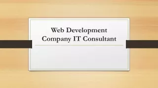 web development company it consultant