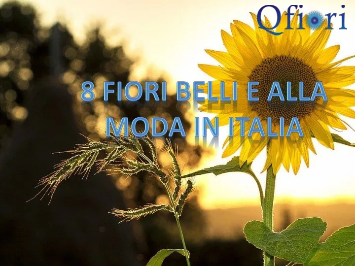 8 fiori belli e alla moda in italia