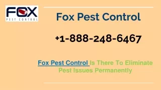 Fox pest control