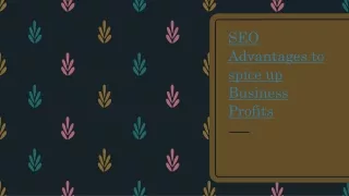 seo advantages to spice up business profits