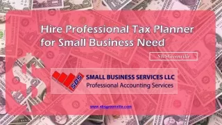Hire Professional Tax Planner for Small Business Need - SBSGreenville