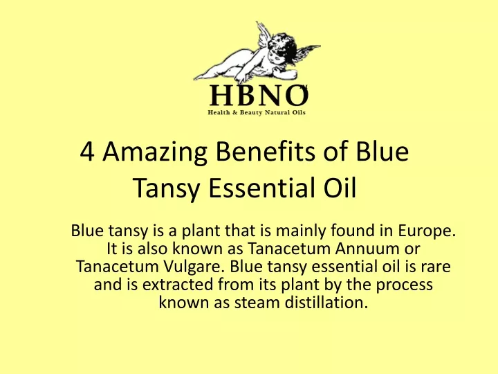 4 amazing benefits of blue tansy essential oil