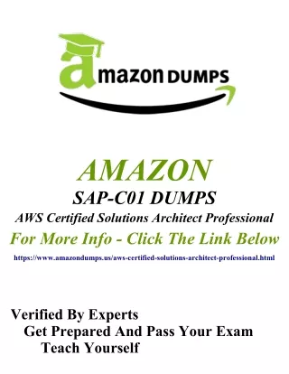 Amazon SAP-C01 Practice Test Questions ~ Unique And The Most Challenging