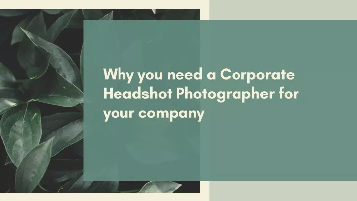 why you need a corporate headshot photographer