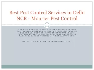 Best Pest Control Services in Delhi NCR - Mourier Pest Control