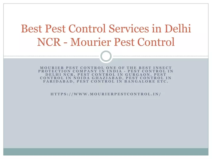 best pest control services in delhi ncr mourier pest control