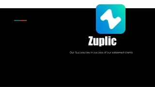Zuplic Overview