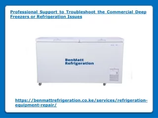 professional support to troubleshoot