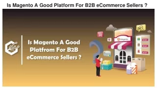 is magento a good platform for b2b ecommerce