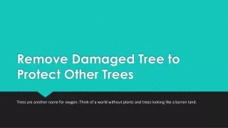 Commercial Tree Removal San Diego CA