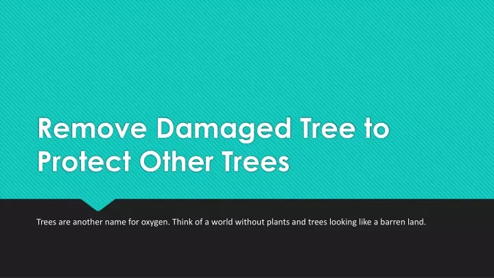 remove damaged tree to protect other trees