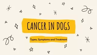 Cancer in Dogs – Types, Symptoms and Treatment