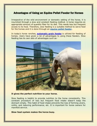 Advantages of Using an Equine Pellet Feeder for Horses