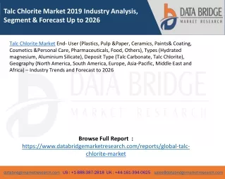 talc chlorite market 2019 industry analysis