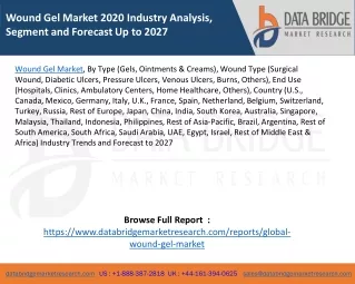 wound gel market 2020 industry analysis segment