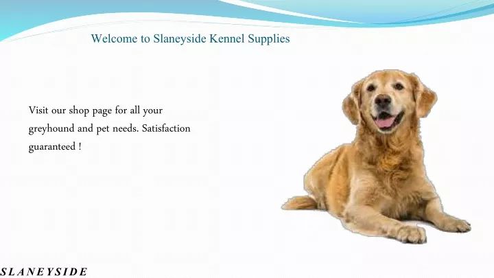 welcome to slaneyside kennel supplies
