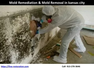 Mold Remediation & Mold Removal Service in Kansas city