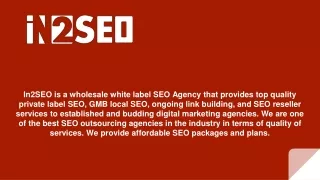 Best SEO Outsourcing Agency - In2SEO