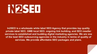 in2seo is a wholesale white label seo agency that