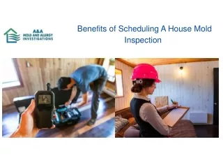 Benefits of Scheduling a House Mold Inspection