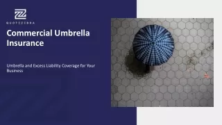 Commercial Umbrella Insurance