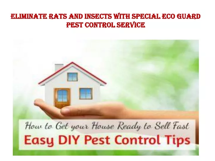 eliminate rats and insects with special eco guard
