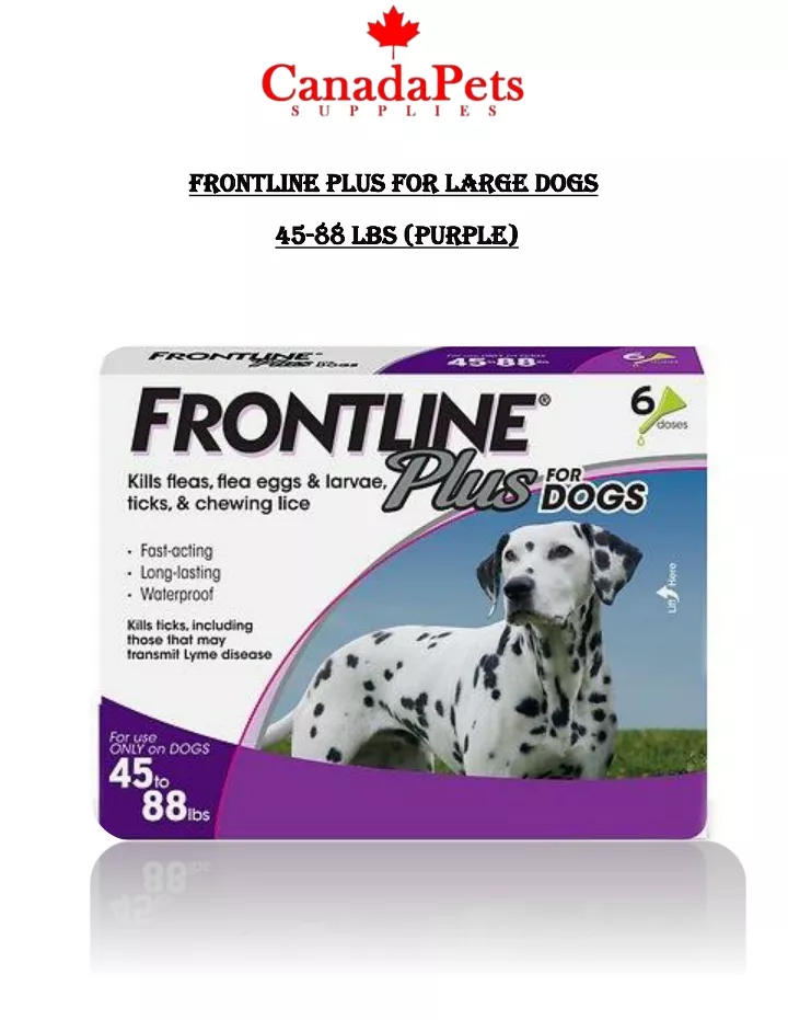 frontline plus for frontline plus for large