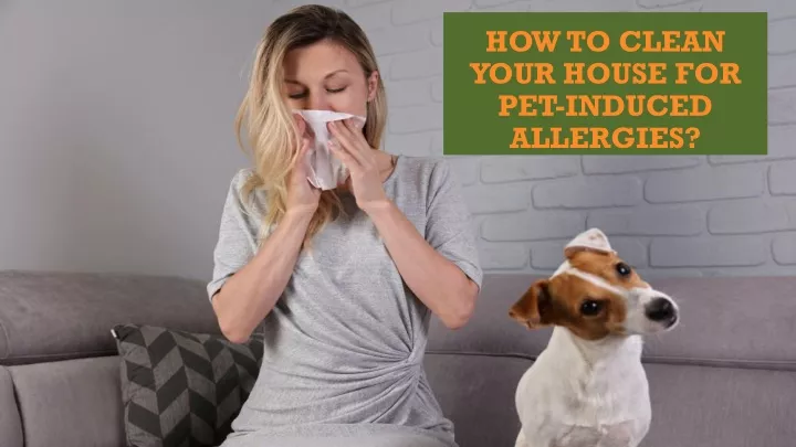 how to clean your house for pet induced allergies