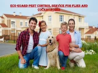 Eco Guard Pest Control service for flies and Cockroaches