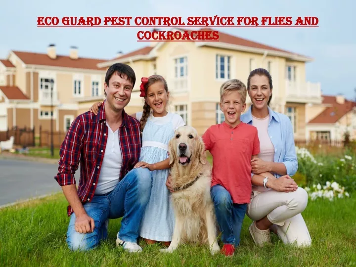 eco guard pest control service for flies