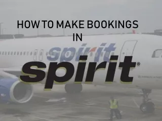 Spirit Airlines Booking Flight Ticket