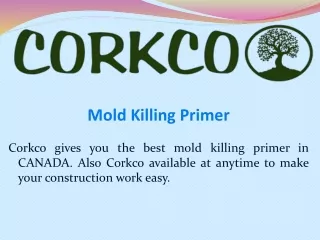 mold killing primer
