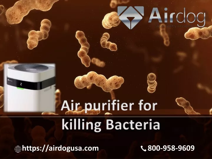air purifier for killing bacteria
